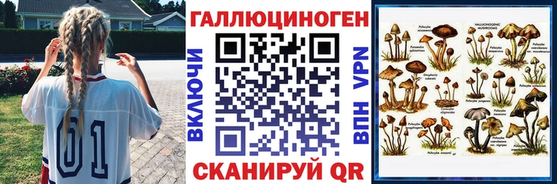 Псилоцибиновые грибы Psilocybine cubensis Алексеевка