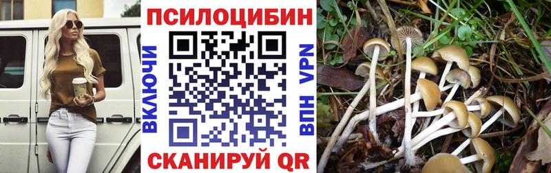 Купить закладки  Алексеевка  Псилоцибиновые грибы ЛСД 
