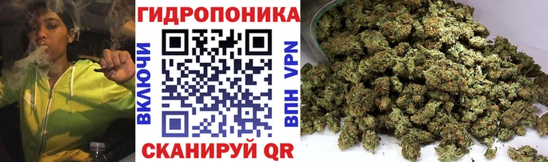 Канабис марихуана  Купить где  Алексеевка 